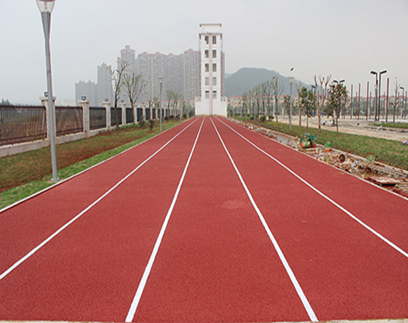 重慶公園運動球場地坪